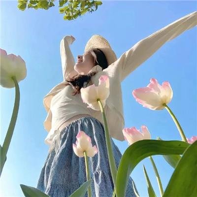 孤鸟罗宾